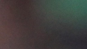 André Jardine descarta su llegada a la selección de Brasil.