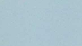 Javier Aguirre resalta el trabajo de la dupla de Raúl y Santiago.