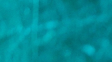 James Rodríguez rechaza a expulsión del Club León para el Mundial de Clubes.