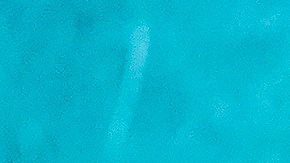 Andrés Guardado cuestiona la expulsión del Club León del Mundial de Clubes.