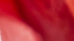 Cuando el jamón está pegajoso es por la presencia de bacterias.