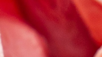 Cuando el jamón está pegajoso es por la presencia de bacterias.