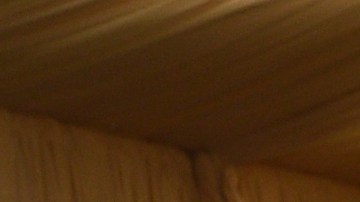 Justin Bieber y Hailey Bieber se convirtieron en padres por primera vez en agosto de 2024.