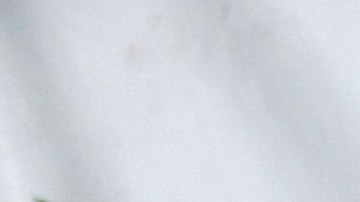 Laura Bozzo, presentadora de televisión.