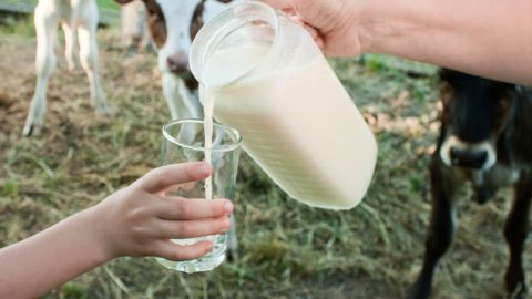 La empresa alerta a los consumidores a evitar ingerir la lecha comprada hasta el 2 de marzo.