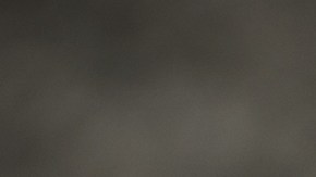 Las fresas aporta un delicioso sabor al batido y nutrientes.