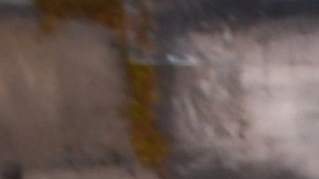 María Antonieta de las Nieves.