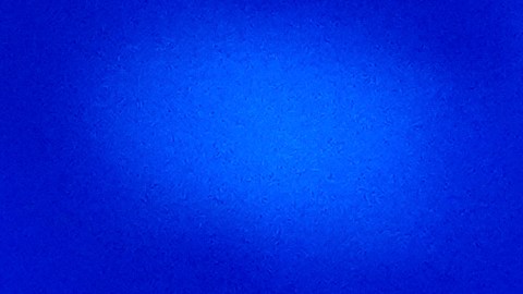 Michelle Obama estrenará un nuevo podcast junto a su hermano.