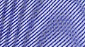 Migbelis Castellanos, presentadora venezolana de televisión.