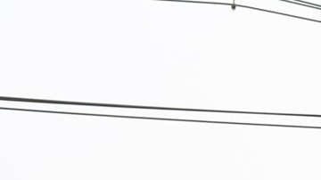 Devastador terremoto en Birmania: se acerca a los 2,000 la cifra de fallecidos