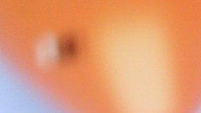 Myrka Dellanos, presentadora de La Mesa Caliente.