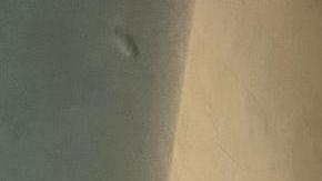 Manifestantes fueron hasta Albany a exigir luz verde a pquete de leyes para proteger los derechos humanos de los internos