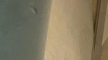 Manifestantes fueron hasta Albany a exigir luz verde a pquete de leyes para proteger los derechos humanos de los internos