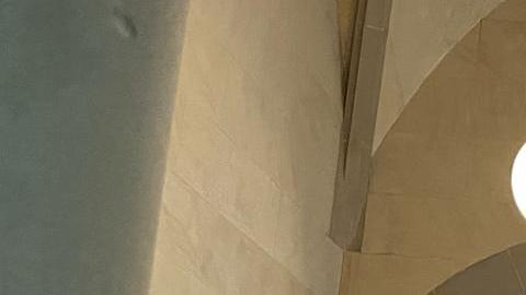 Manifestantes fueron hasta Albany a exigir luz verde a pquete de leyes para proteger los derechos humanos de los internos