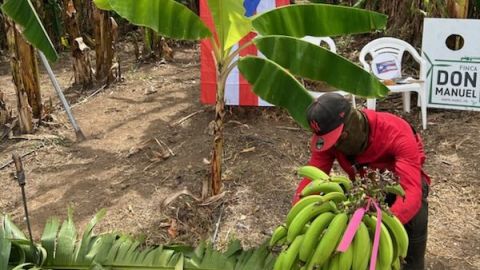 Finca Don Manuel invita a sus visitantes a entrar en contacto con el trabajo de los agricultores.