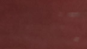 Los palitos de carnes fueron distribuidos en California e Illinois.