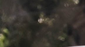 Gerard Piqué se mudó temporalmente a Miami para estar con Sasha y Milan.