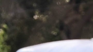 Gerard Piqué se mudó temporalmente a Miami para estar con Sasha y Milan.