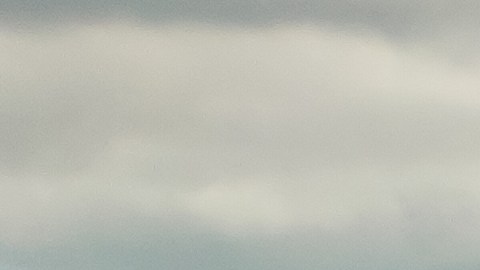 Cruceros