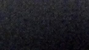 Coach de West Virginia, Rich Rodríguez.