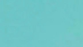 Rosie O'Donnell se mudó el 15 de enero de este año.