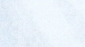 Yolanda Saldívar no obtuvo la libertad condicional.