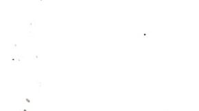 Hermano de Selena Quintanilla reacciona a negativa de dejar en libertad condicional a Yolanda Saldívar.