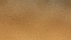 El Té de Rosa Mosqueta es rico en antioxidantes, claves para los procesos de desinflamación de las células.