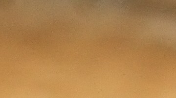 El Té de Rosa Mosqueta es rico en antioxidantes, claves para los procesos de desinflamación de las células.