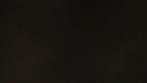 Marc-Andre ter Stegen.