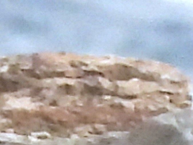 Tom Holland le dará vida a Telémaco.