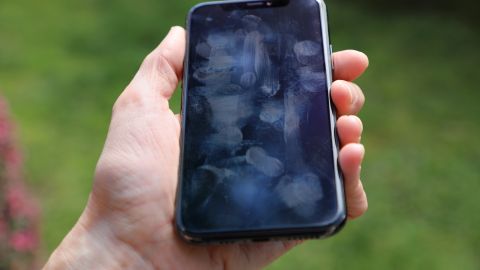 Celular
