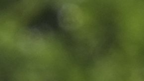 Selección de Estados Unidos.