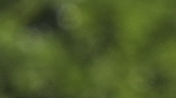 Selección de Estados Unidos.