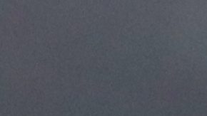 Fans durante partido de Vancouver Whitecaps.