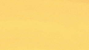 Concacaf anuncia nueva mascota llamada Volar.