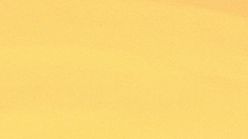 Concacaf anuncia nueva mascota llamada Volar.