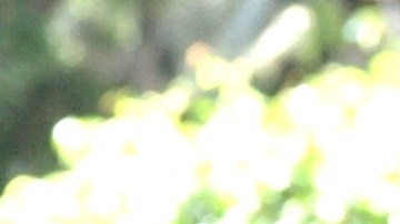 Salvador Zerboni, actor mexicano.