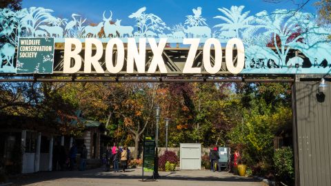 Zoo Bronx
