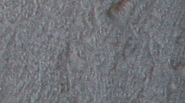 Aleida Núñez y Martín Babilotte hicieron realidad su sueño.