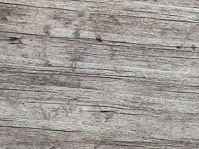 Un especialista de Harvard explica la importancia de comer alimentos ricos en fibras y proteínas como las almendras de primer lugar.