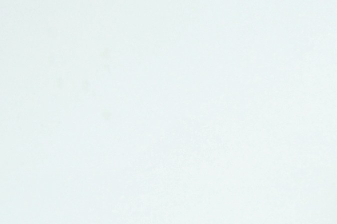 Mientras que los productos 0%, sin azúcar, alimentos 0 calorías o “Zero” no tienen aporte energético.