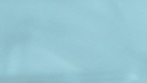 Algunos alimentos por sus características tienen a dañar más rápido aunque se refrigeren, una experta explica el proceso.