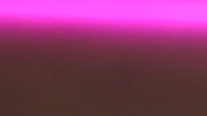 Ana Bárbara y Don Antero Ugalde llevan años distanciados.