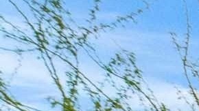 arizona-200-mil-dolares-venta-de-casas
