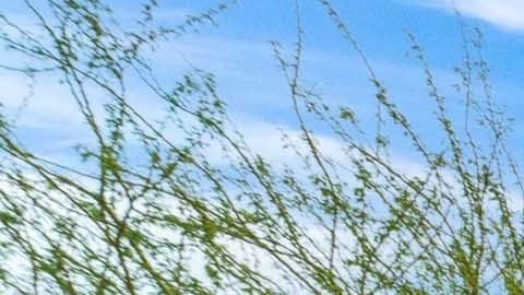 arizona-200-mil-dolares-venta-de-casas