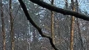 Las identidades de los soldados no han sido reveladas al público.