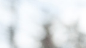 Autobús escolar a bordo se incendió en Ohio: el conductor logró salvarlos a todos