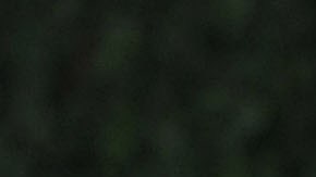 Desde su divorcio en 2018, Jennifer y Ben han mantenido una buena relación.