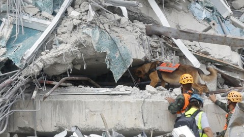 Un grupo de soldados de Estados Unidos se unió a las labores de rescate